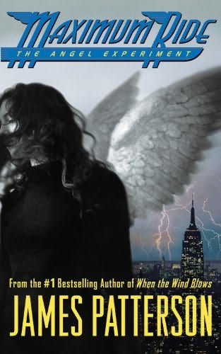 Angel Experiment